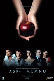 Aşk-ı Memnu izle 
