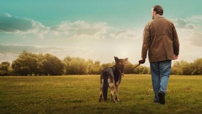 After Life 1.Sezon 1.Bölüm izle