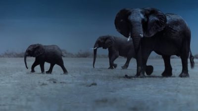 Night on Earth 1.Sezon 2.Bölüm izle
