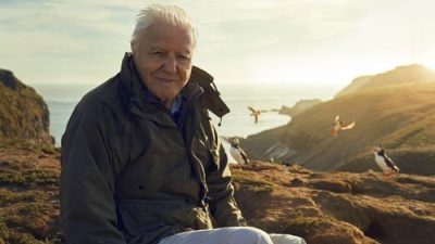 Vahşi Adalar 1.Sezon 1.Bölüm izle
