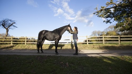 Free Rein 1.Sezon 3.Bölüm izle
