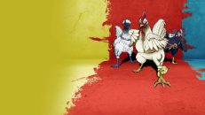 Rooster Fighter 11.Bölüm izle