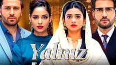 Yalnız Karar 42.Bölüm izle